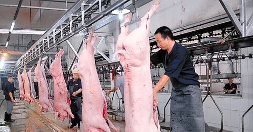 屠宰場臭氣影響周邊環(huán)境？解決辦法在這里.jpg
